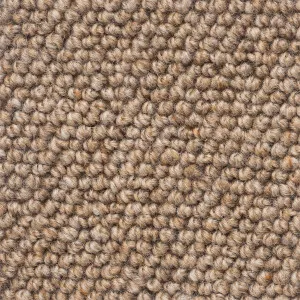 Levante - Raw Brown by Bremworth Lifestyle Collection, a Loop for sale on Style Sourcebook