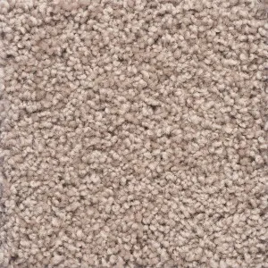 Charmeuse - Satinwood by Bremworth Aspire Collection, a Twist for sale on Style Sourcebook