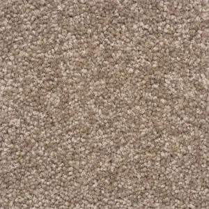 The Hamptons - Maidstone by Bremworth Aspire Collection, a Twist for sale on Style Sourcebook