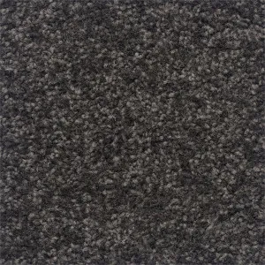 The Hamptons - Water Mill by Bremworth Aspire Collection, a Twist for sale on Style Sourcebook