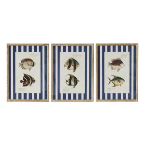 Aquatic Framed Print Set of 3 in 40 x 55cm by OZ Design, a Prints for sale on Style Sourcebook