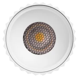 Havit Nella EXT Fluted 12W 240V Surface Mounted Outdoor LED Downlight Medium - White by Havit, a Spotlights for sale on Style Sourcebook