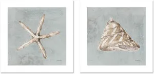 Sand And Seashells, Style C & D, Set Of 2 by Gioia Wall Art, a Prints for sale on Style Sourcebook