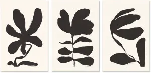 Jasmine, Crossandra And Lily, Set Of 3 by Gioia Wall Art, a Prints for sale on Style Sourcebook