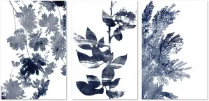 Deep Ecology, Style A, B & C, Set Of 3 by Gioia Wall Art, a Prints for sale on Style Sourcebook