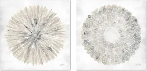 Natures Pinwheel, Style A & B, Set Of 2 by Gioia Wall Art, a Prints for sale on Style Sourcebook