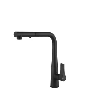 17177#299 Gessi Proton RAngl PO Spray MB by Proton, a Kitchen Taps & Mixers for sale on Style Sourcebook