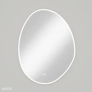 Pebble Asymmetrical LED Mirror, 700 x 920mm by Fienza, a Illuminated Mirrors for sale on Style Sourcebook