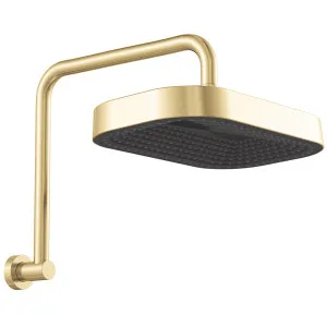 Kuro Gooseneck Shower Arm Set, Soft Square Head, Urban Brass by Fienza, a Shower Heads & Mixers for sale on Style Sourcebook