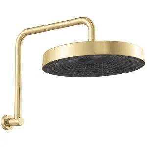 Kuro Gooseneck Shower Arm Set, Round Head, Urban Brass by Fienza, a Shower Heads & Mixers for sale on Style Sourcebook