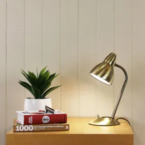 Oriel Lighting Trax Flexible Gooseneck Desk Lamp - Antique Brass by Oriel Lighting, a Lamps for sale on Style Sourcebook