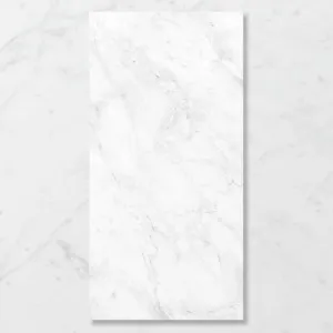 Aphrodite London Superlight (Matt) 1200x600 by Sanctuary Makers, a Stone Look Tiles for sale on Style Sourcebook