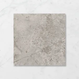 Forma Leonardo Cafe (Satin) 450x450 by Sanctuary Makers, a Concrete Look Tiles for sale on Style Sourcebook