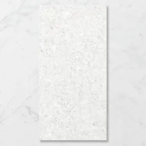 Terra Palacio Moonlight (Satin) 1200x600 by Sanctuary Makers, a Terrazzo Look Tiles for sale on Style Sourcebook