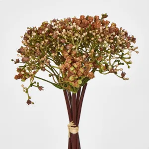 Baby's Breath Bouquet Brown by JMC FLORALS, a Plants for sale on Style Sourcebook