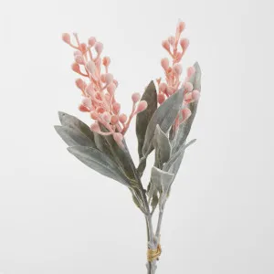 Wattle Bundle Orange by JMC FLORALS, a Plants for sale on Style Sourcebook