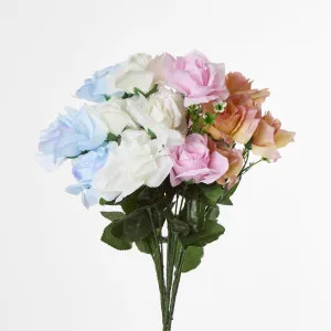 Rose Bush B Asstd Box of 60 by JMC FLORALS, a Plants for sale on Style Sourcebook