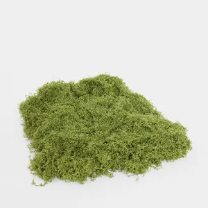 Moss Wool 500g by Florabelle Living, a Plants for sale on Style Sourcebook