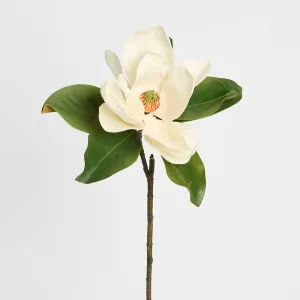 Magnolia 77cm White by Florabelle Living, a Plants for sale on Style Sourcebook