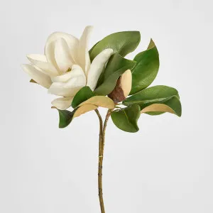 Magnolia Flower 72cm White by Florabelle Living, a Plants for sale on Style Sourcebook