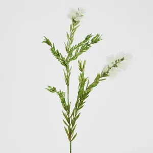 Bottle Brush Spray 84cm White by Florabelle Living, a Plants for sale on Style Sourcebook
