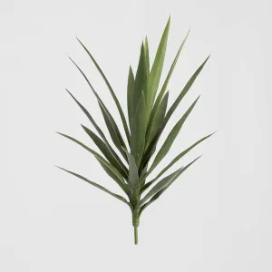 Yucca Head Green 64cm by TREE CREATIONS, a Plants for sale on Style Sourcebook
