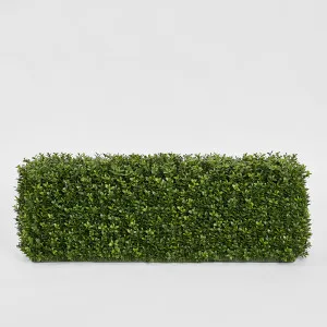 Boxwood Hedge 25x95cm by TREE CREATIONS, a Plants for sale on Style Sourcebook