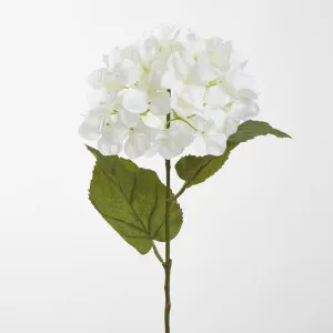 Domed Hydrangea 68cm White by JMC FLORALS, a Plants for sale on Style Sourcebook