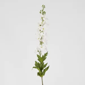 Bella Single Head Delphinium White by Florabelle Living, a Plants for sale on Style Sourcebook