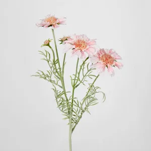 Scabiosa Spray with Buds Pink by JMC FLORALS, a Plants for sale on Style Sourcebook
