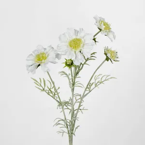Scabiosa Spray with Buds White by JMC FLORALS, a Plants for sale on Style Sourcebook