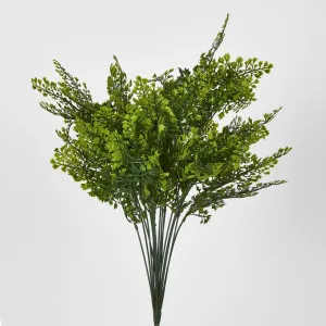 Maidenhair Fern Bush Green by JMC FLORALS, a Plants for sale on Style Sourcebook