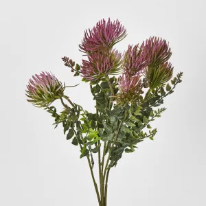 Thistle Bush x 5 Dark Pink by JMC FLORALS, a Plants for sale on Style Sourcebook