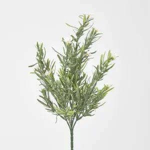 Wild Daisy Bush White by JMC FLORALS, a Plants for sale on Style Sourcebook