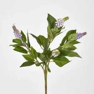Allium Seed Bush Purple by JMC FLORALS, a Plants for sale on Style Sourcebook
