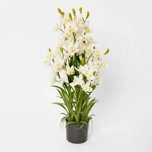 Real Touch Potted Cymbidium 90cm by Florabelle Living, a Plants for sale on Style Sourcebook