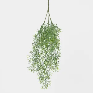 Springeri Hanging Vine Green 66cm by JMC FLORALS, a Plants for sale on Style Sourcebook