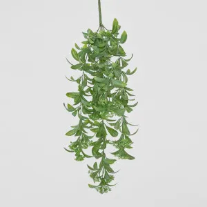 Osmanthus Hanging Bush With White flower by JMC FLORALS, a Plants for sale on Style Sourcebook