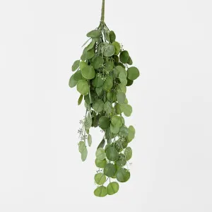 Hanging Green Eucalyptus Leaf Bush by JMC FLORALS, a Plants for sale on Style Sourcebook
