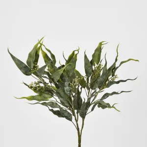Eucalyptus Leaf Bush 53cm by JMC FLORALS, a Plants for sale on Style Sourcebook