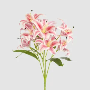 Casablanca Lily Bunch Pink by JMC FLORALS, a Plants for sale on Style Sourcebook