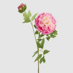 Leafy Peony Flower Stem Fuchsia by JMC FLORALS, a Plants for sale on Style Sourcebook