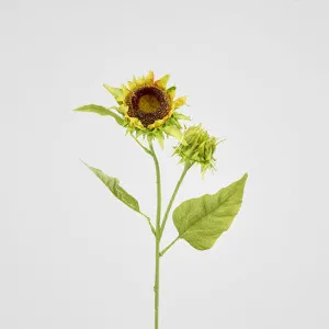 Seeding Sunflower Floral Stem by JMC FLORALS, a Plants for sale on Style Sourcebook