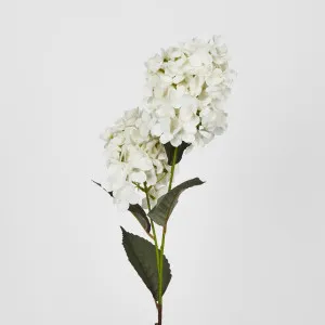 White Cone Hydrangea 93cm by JMC FLORALS, a Plants for sale on Style Sourcebook