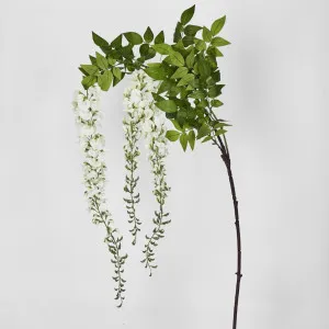 Wisteria Branch White by JMC FLORALS, a Plants for sale on Style Sourcebook