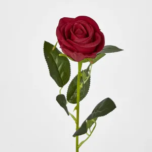 Red Rose Stem by JMC FLORALS, a Plants for sale on Style Sourcebook