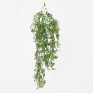 Hanging Kidneywood Fern by JMC FLORALS, a Plants for sale on Style Sourcebook