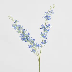 Dendrobium Spray Blue by JMC FLORALS, a Plants for sale on Style Sourcebook