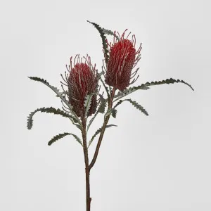Banksia Double Spray Red by JMC FLORALS, a Plants for sale on Style Sourcebook
