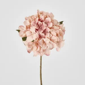 Hydrangea Stem 69cm Light Pink by JMC FLORALS, a Plants for sale on Style Sourcebook